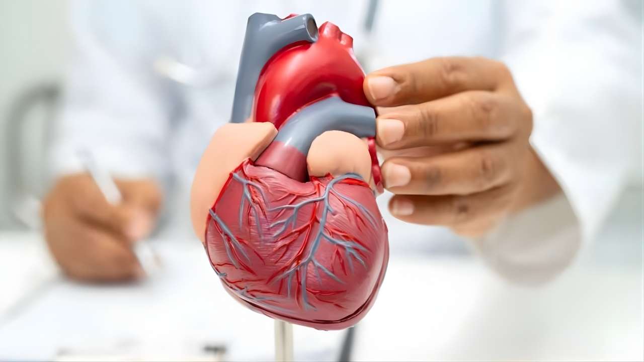 Ni caminar ni bicicleta fija